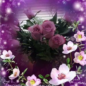 Meet your Posher, Sharon